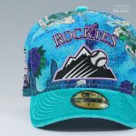 koi-pond-cap.png