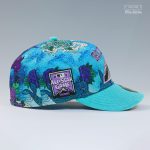 koi-pond-cap.png