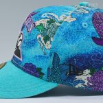 koi-pond-cap.png