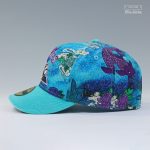 koi-pond-cap.png