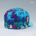 koi-pond-cap.png