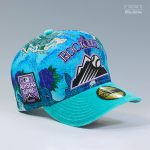 koi-pond-cap.png