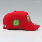 lucky-charms-cap.png