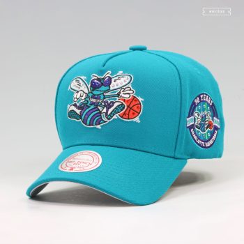 CHARLOTTE HORNETS 30TH ANNIVERSARY PRO-PINCH FIT GEMSTONES MITCHELL & NESS SNAPBACK